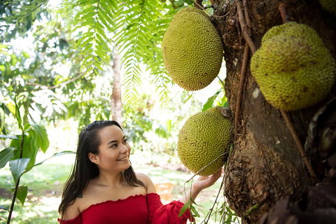 Kuranda Day Trip From Cairns By Scenic Railway And Skyrail Including Army Duck Rainforest Tour - Events Australia 4