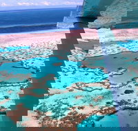 8-Day Cairns Tour Great Barrier Reef Kuranda Daintree Rainforest - Tourism Bookings