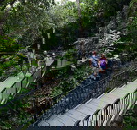 4-Day Cairns with Great Barrier Reef and Daintree Rainforest - Tourism Bookings