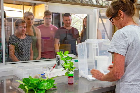 Australian Butterfly Sanctuary - Events Australia 6