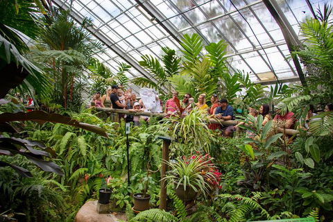 Australian Butterfly Sanctuary - Events Australia 4
