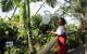 Australian Butterfly Sanctuary - thumb 2