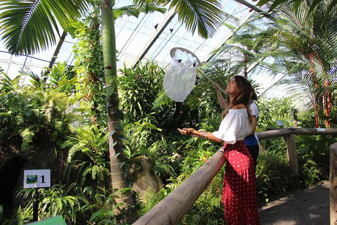 Australian Butterfly Sanctuary - Events Australia 2