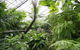 Australian Butterfly Sanctuary - thumb 1