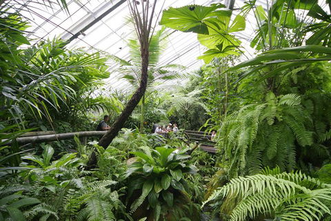 Australian Butterfly Sanctuary - Events Australia 1