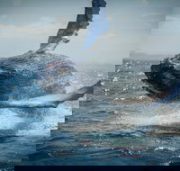 2-Hour Guided Whale Watching Tour at Noosa - Events Australia