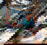 Maleny Botanic Gardens Bird Aviary Experience Ticket - Events Australia