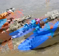 Kids Only Surf Lessons at Surfers Paradise Beach - Events Australia