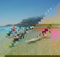 Golden Beach 1-Hour Stand-Up Paddleboard Hire on the Sunshine Coast - Events Australia