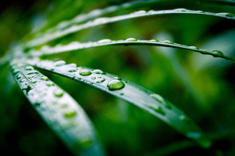 Local Photo Shoot - Events Australia 3