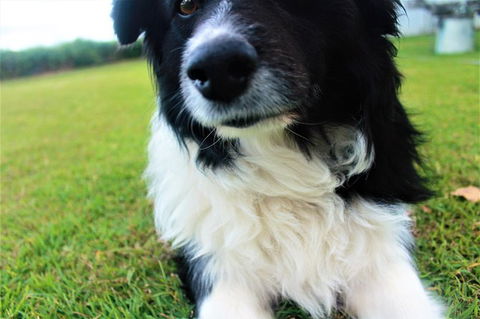 Local Photo Shoot - Events Australia 0