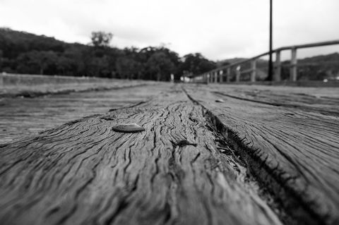 Local Photo Shoot - Events Australia 2