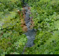 Full-Day Guided Hinterland Adventure Tour in Queensland - Events Australia