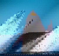 Whale Watching Cruise from Mooloolaba - Events Australia