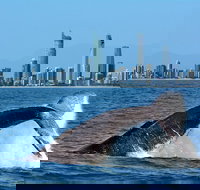 Gold Coast Airport to and from Byron Bay NSW for up-to 7 ppl - Events Australia