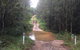 One Day Guided Dirt Bike Tour In The Magnificent Glasshouse Mountains Forests. - thumb 3