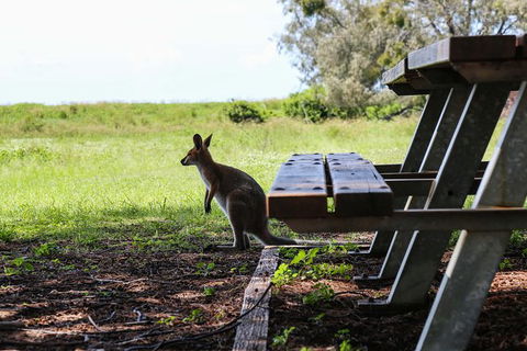Stradbroke Island Adventure Cruise And Tour Departing Brisbane City - Events Australia 10