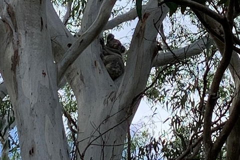 Stradbroke Island Adventure Cruise And Tour Departing Brisbane City - Events Australia 9