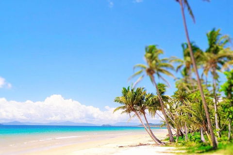 Airport Transfer - Mission Beach To Cairns Airport - Events Australia 3