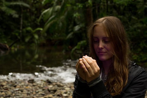 Daintree And Cape Tribulation Full Day Guided Tour - Events Australia 4