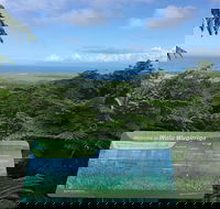 Daintree Luxury Limousine Tour - Full Day - Events Australia