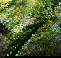 OReillys Rainforest Retreat and Winery Day Tour from Nerang - Events Australia