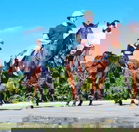 Mid-Morning Beach Horse Ride in Cape Tribulation with Pick Up - Events Australia