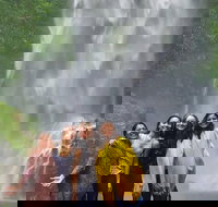 Full-Day Guided Sightseeing Tour of the Gold Coast Waterfalls - Events Australia