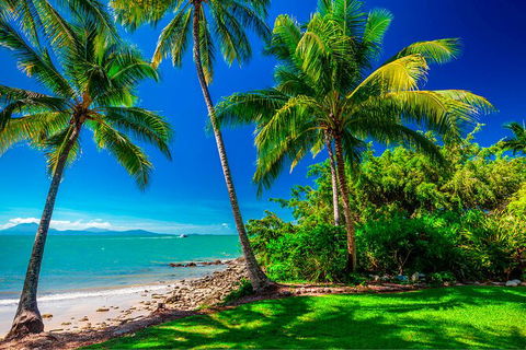 SHUTTLE - Port Douglas And Craiglie Return Transfer - Events Australia 2