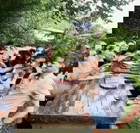 Full-Day Tamborine Guided Wine and Distillery Tour with Lunch - Events Australia