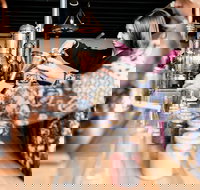 Small-Group Gin Masterclass in Gold Coast - Events Australia