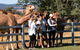 Camel Farm Discovery - thumb 0