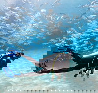 Exciting Gold Coast Diving Excursions - Events Australia