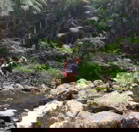 Limited group Gold Coast Lamington National Park Tour - Events Australia