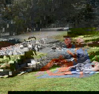 Mt Tamborine - Hinterland Wonders Self Guided - Events Australia