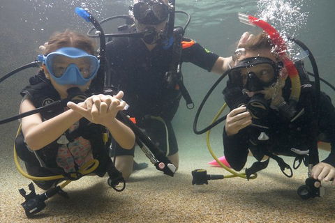 Scuba Kids- Padi Bubblemaker Course - Events Australia 4