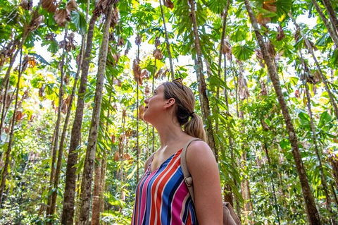 5 Day Australia Retreat: Queensland Daintree - Events Australia 3