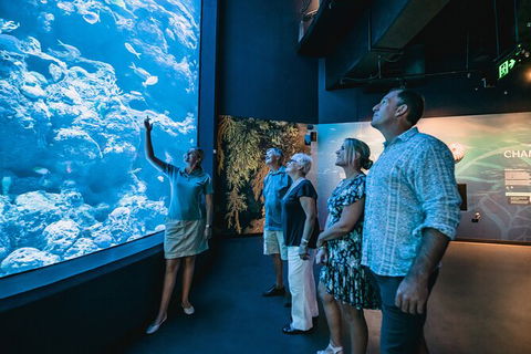 Cairns Aquarium By Twilight With 3 Course Dinner - Events Australia 0