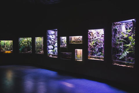 Cairns Aquarium By Twilight With 3 Course Dinner - Events Australia 3