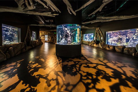 Cairns Aquarium Tour By Twilight With Drink And Appetiser - Events Australia 4