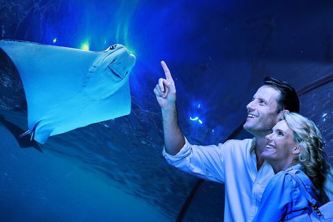 Cairns Aquarium Tour By Twilight With Drink And Appetiser - Events Australia 0
