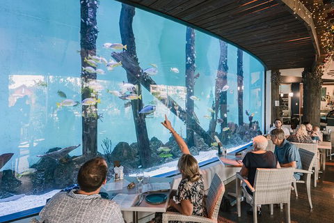 Cairns Aquarium Tour By Twilight With Drink And Appetiser - Events Australia 1