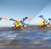 Kangaroo Island Self-Guided Kayaking on the Harriet River - Events Australia