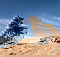 Kangaroo Island Luxury Small Group 'Flinders Chase Focus' Full Day Tour - Events Australia