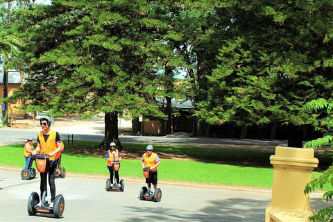 Segway Tour At Seppeltsfield Winery - Events Australia 6