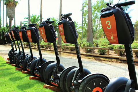 Segway Tour At Seppeltsfield Winery - Events Australia 3