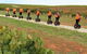 Segway Tour At Seppeltsfield Winery - thumb 7