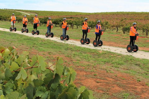 Segway Tour At Seppeltsfield Winery - Events Australia 7