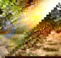 Kangaroo Island Half Day Food and Wine Trail Tour - Events Australia