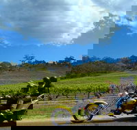 Unique Trike Barossa Valley Half Day Private Tour For 2 - Tourism Bookings